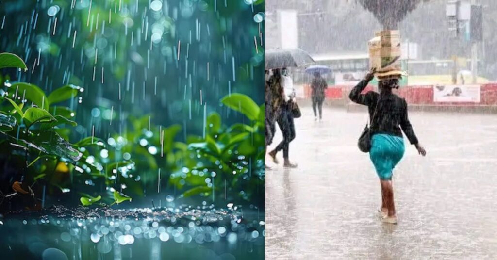 Kenya Met Boss Attributes Unusual February Rains to Madden-Julian Oscillation Phenomenon