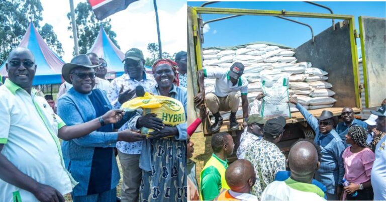 Governor Lusaka Empowers 22,500 Farmers with Free Seeds and Fertilizer in Bungoma
