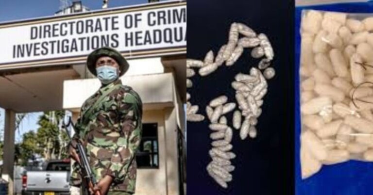 DCI Detectives Bust Female Smuggler Using Body to Hide Cocaine