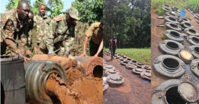 Shock in Kisii as NACADA Raid Uncovers Four-Acre Chang’aa Brewing Empire