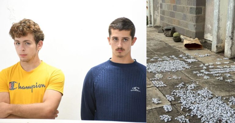 Teenagers Among Four Foreigners Plead Guilty to Smuggling Over 5,000 Queen Ants Through JKIA