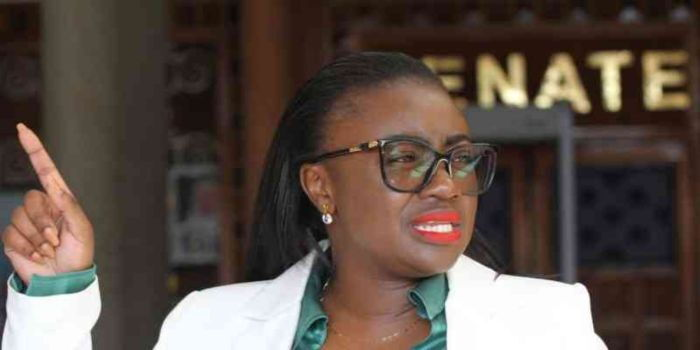Court Orders Gloria Orwoba to Pay KSh10 Million in Landmark Defamation Case Against Senate Clerk