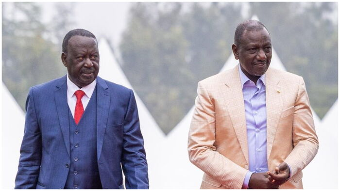 MPs Clash With Ruto, Raila During First Joint Meet