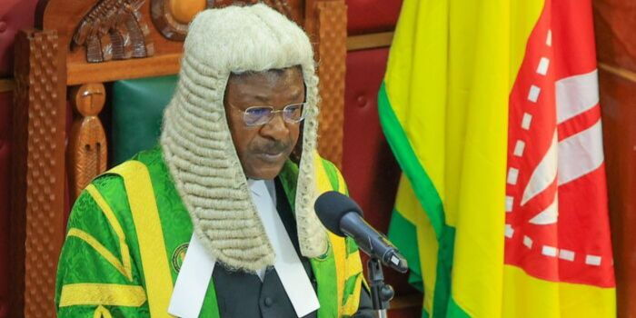 Speaker Wetang’ula Suspends Gathoni Wamuchomba for 20 Days Over Walkout Drama