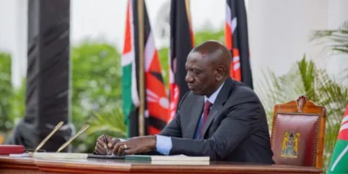 Parliament Endorses 11 Key Appointments, Sparks Hope for Stronger Foreign Ties and Political Oversight