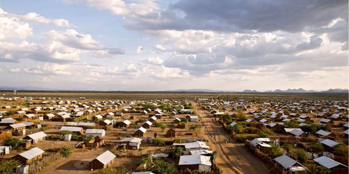 KMTC and UNHCR Launch Life-Changing Nursing Scholarships for Turkana and Refugee Communities