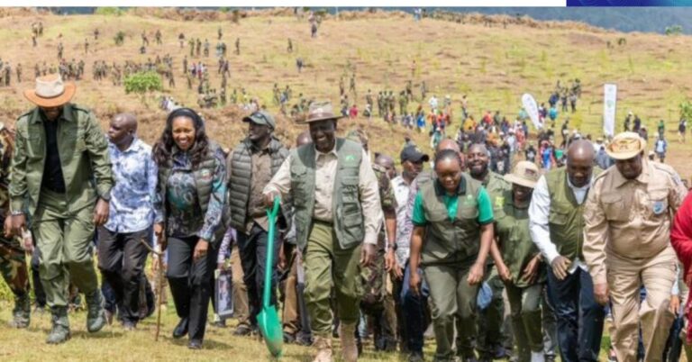 President William Ruto along with other government officials during a tree planting exercise in Mau forest on Monday, October 27. F