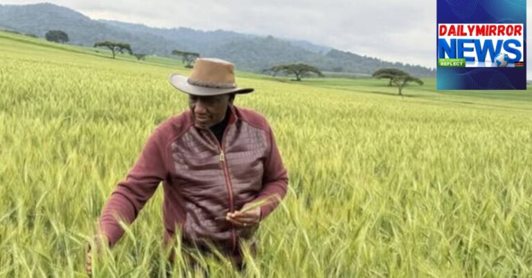 Ruto Rolls Out Industrial Parks to Rescue Farmers From Post-Harvest Losses