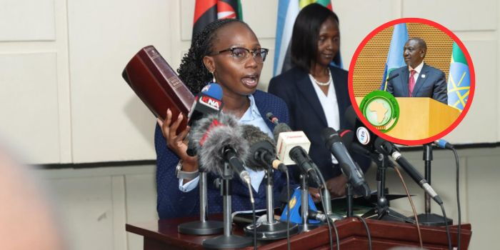 Faith Odhiambo Quits Ruto’s Victim Compensation Panel Amid Pressure and Court Suspension