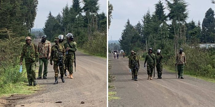 “They Took My Son’s Goats”—MP Jayne Kihara Cries Foul as Police Raid Her Home Over Election Petition