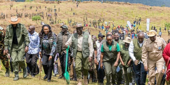 Ruto Bans Furniture Imports, Lifts Logging Ban to Boost Local Jobs and Industry