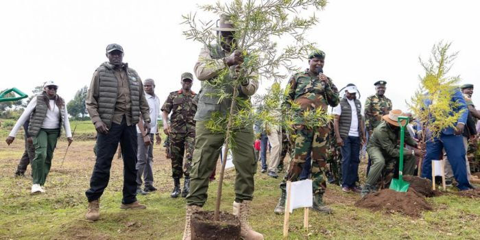 Ruto Bans Furniture Imports, Lifts Logging Ban to Boost Local Jobs and Industry