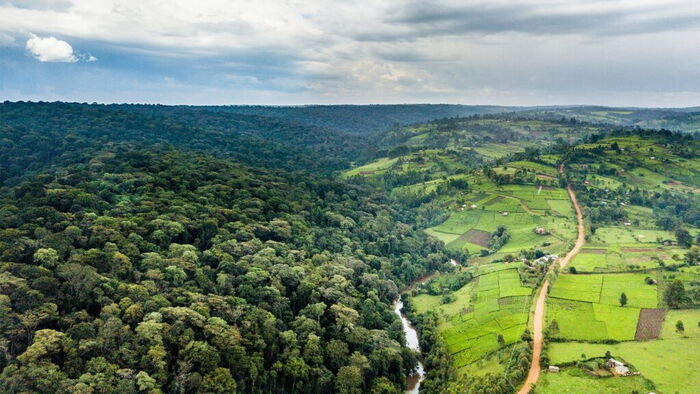 UGM Party Slams Ruto Over Logging Ban Lift, Calls Mau Forest Decision a National Betrayal