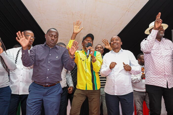 Jacob Mbao Turns to UDA After Jubilee Denies Him Mbeere North Ticket, Sparks Political Storm