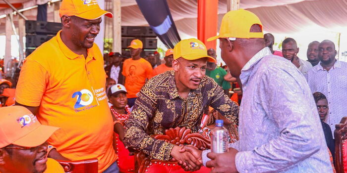 Babu Owino Questions New ODM Leadership Appointments, Calls for Protests Against High Cost of Living