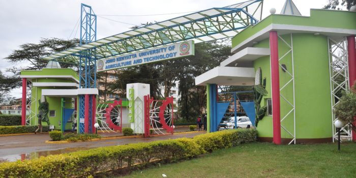 Relief for Students as KU, JKUAT Announce Class Resumption After 49-Day Lecturers’ Strike Ends