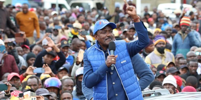 Ruto Downplays Claims of Courting Kalonzo Musyoka to Join Broad-Based Government