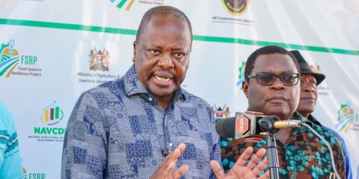 CS Kagwe Secures 1 Million Bags of Maize From Zambia as Unga Prices Hit Ksh160