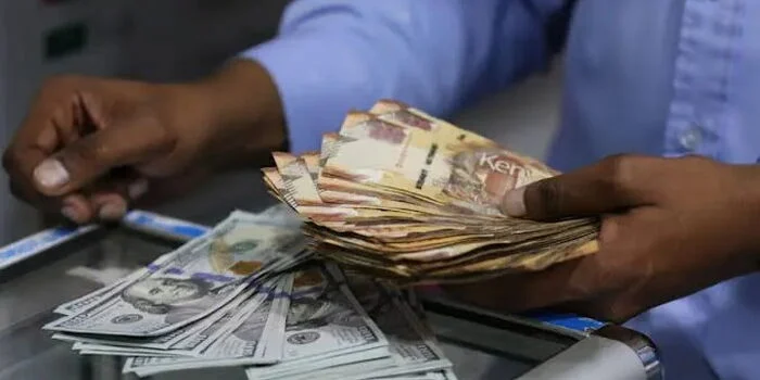 Govt Raises Ksh290 Billion in Move to Clear 2028, 2032 Eurobonds