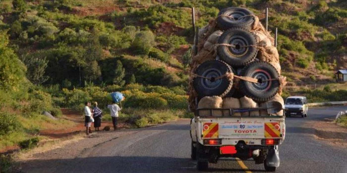 Interior Ministry Announces Reopening of Kenya–Somalia Border for Miraa Traders