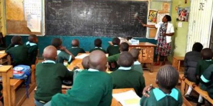 Audit Uncovers 87,000 Ghost Learners Siphoning Ksh 1.1B Annually