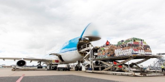 Kenyan Agricultural Exports to China to Become Duty-Free from May 1, Ministry Announces