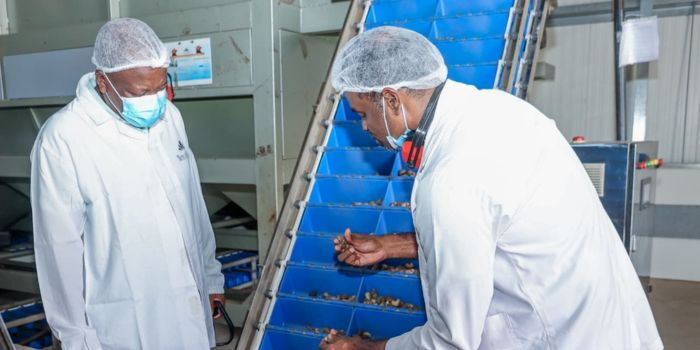 Kenyan Agricultural Exports to China to Become Duty-Free from May 1, Ministry Announces