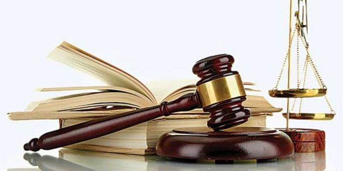 High Court Bars Telcos From Reassigning Phone Numbers