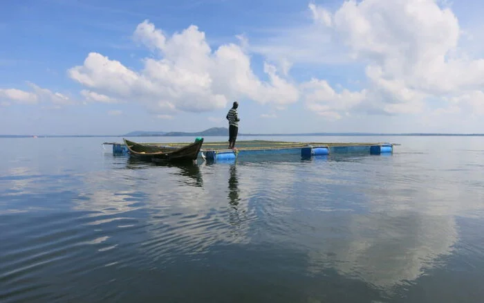 Shock After Fishermen Recover 20 Live Bombs in Lake Victoria