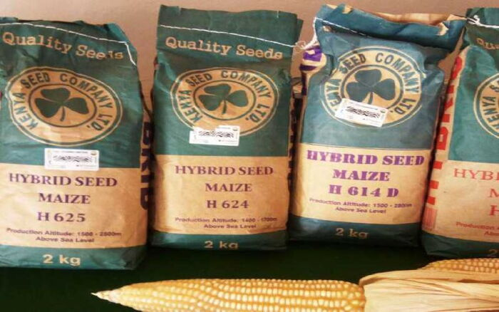 10Kg Maize Seed to Sell for KSh2,625 as Govt Rolls Out KSh2 Billion Subsidy