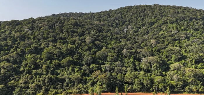 Mining Ministry Launches Ksh8.1 Trillion Mrima Hill Rare Earth Tender for Global Investors