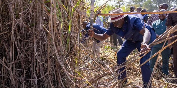 Ruto Claims Next African Billionaires Will Be Farmers