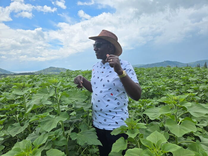 Ruto Claims Next African Billionaires Will Be Farmers