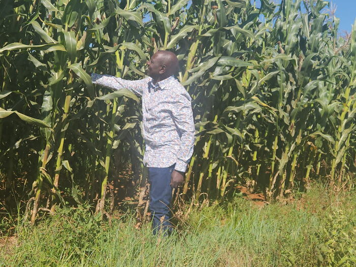 Ruto Claims Next African Billionaires Will Be Farmers