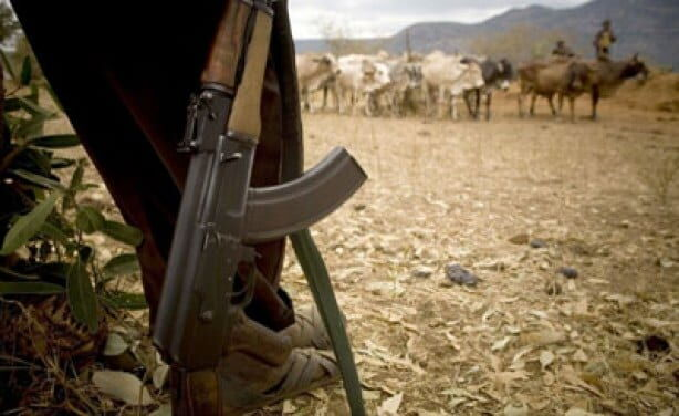 NPS Dispatches High-Powered Security Team to Kitui After Deadly Inter-Community Attacks