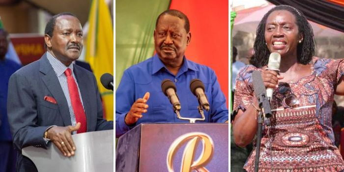 Court Dismisses Petition Seeking Contempt Charges Against Speaker Wetang’ula Over Majority Ruling
