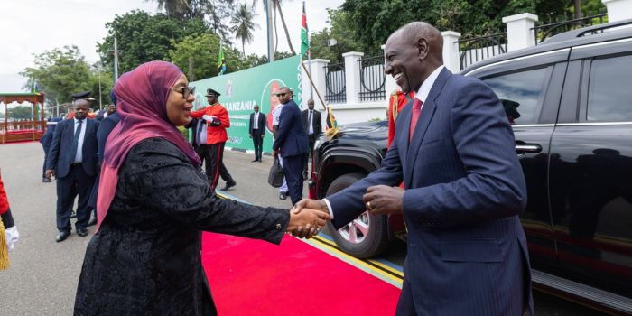 Tanzanian MPs Praise Ruto, Pray for His Re-election After Parliament Address