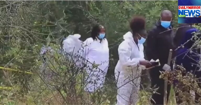 Forensic team at the site of a suspected mass grave in Mwingi Town, Kitui County, June 9, 2026.