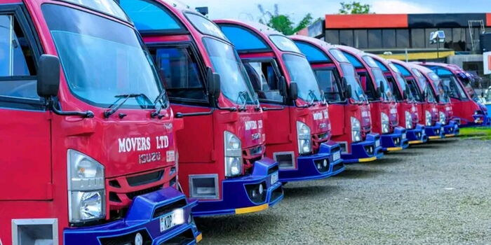 NTSA Revokes Nicco Movers Licence, Orders Immediate Suspension of Operations After KMTC Student’s Death