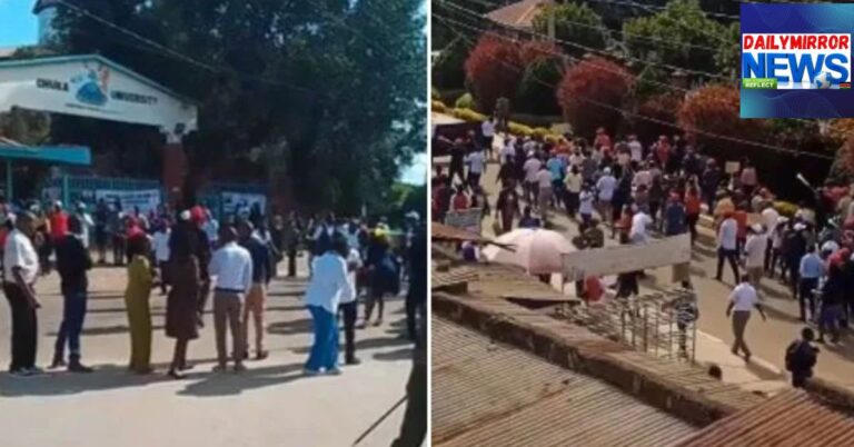 A collage photo of the ongoing University lecturers' strike, 18 September 2024.