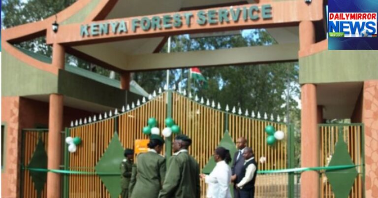 Officers outside the Kenya Forest Service (KFS) gate when it was opened in 2011