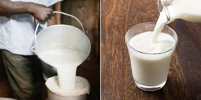 Kenya Dairy Board Confirms Milk Supply Constraints, Says Shortage Is Temporary