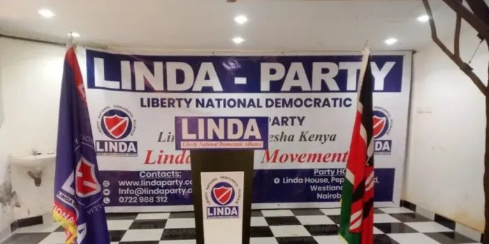 Babu Owino Releases New Details in Mwananchi Party Name Change Amid Dispute