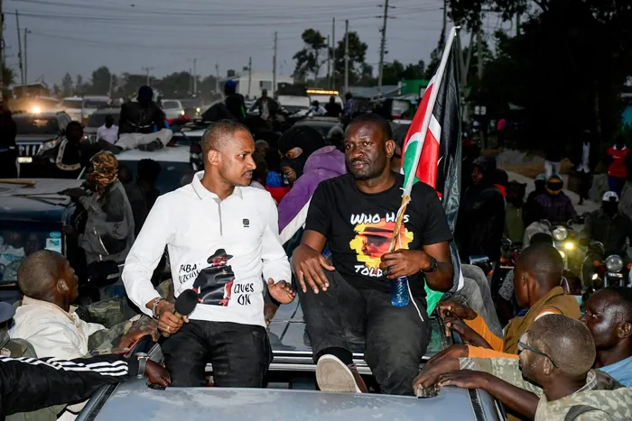 Babu Owino Releases New Details in Mwananchi Party Name Change Amid Dispute