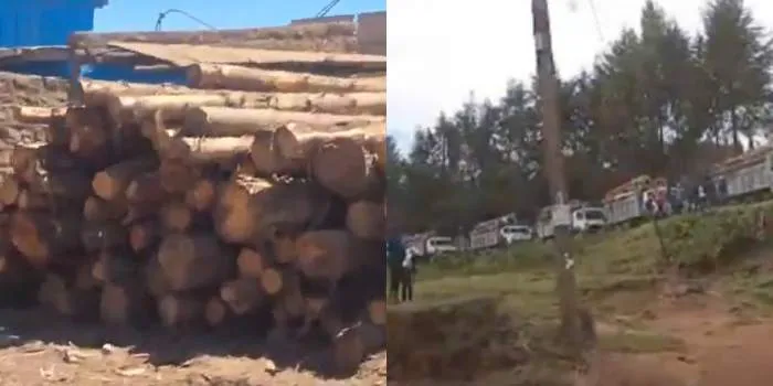 CS Chirchir Urges State to Declare Another National Tree Planting Day After Rains Fail